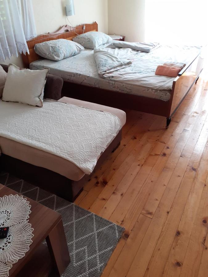 Studio Apartman Jelena Zaovine المظهر الخارجي الصورة